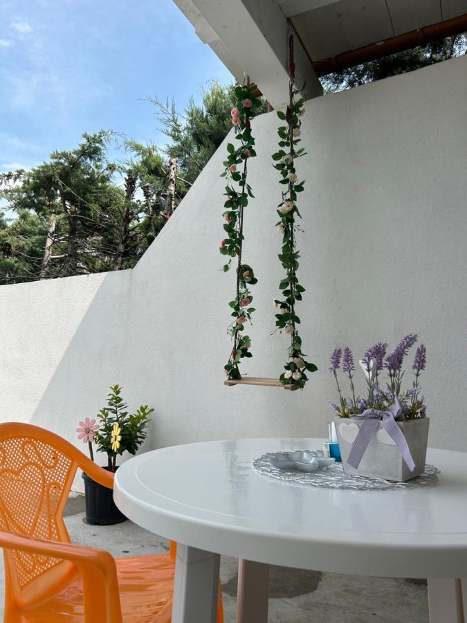 ホテル Casa Adriatik & Marina Telti エクステリア 写真